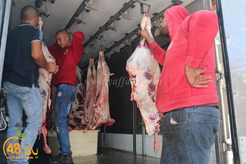 lod8om ada73y (109).JPG